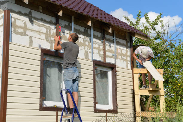 Best Siding Repair  in Homerville, GA